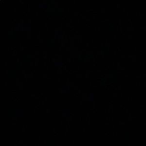 Meet your Posher, Rose